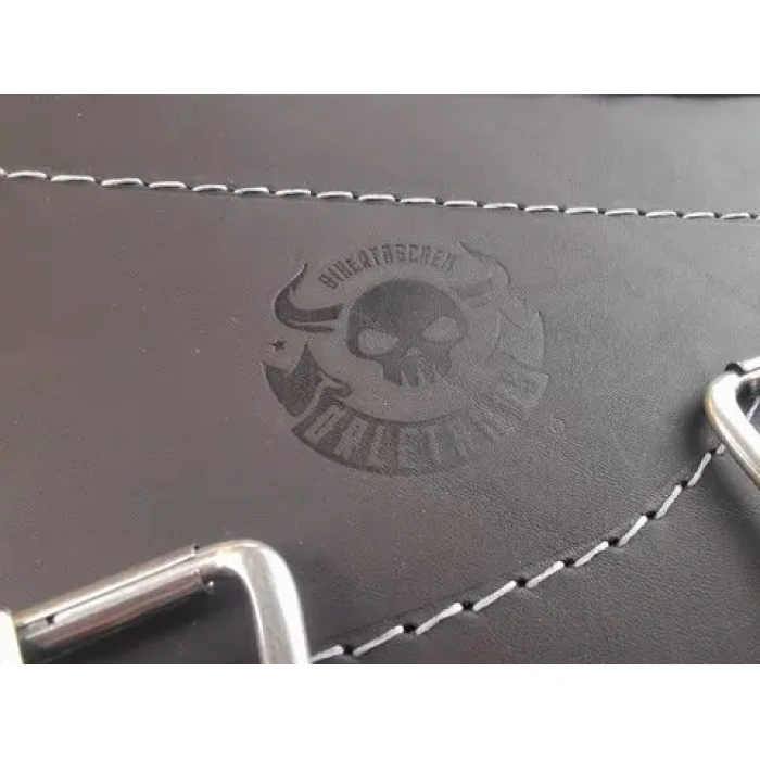 BBP Custom Bullet Silver Edition Swing Bag passend für Harley-Davidson Softail IMG 20200916 085202 scaled 480x480 jpg