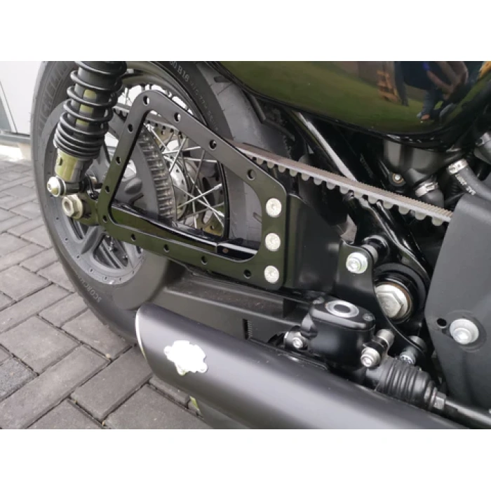 BBP Custom Seitentaschenhalter passend für Harley Davidson Sportster ab 2004 rechte Seite MIT ABS