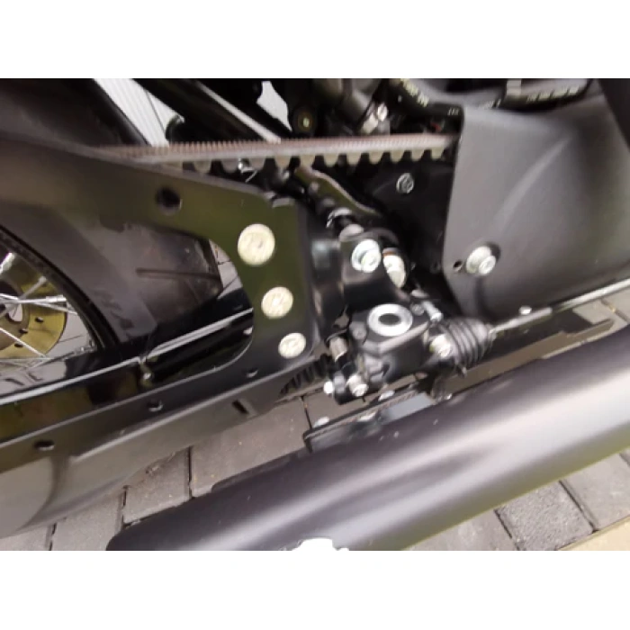 BBP Custom Seitentaschenhalter passend für Harley Davidson Sportster ab 2004 rechte Seite MIT ABS