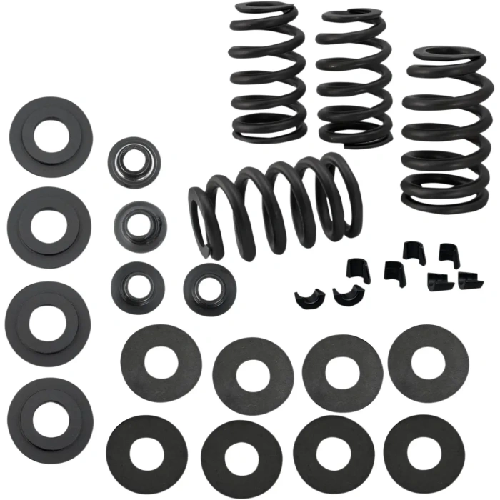 BBP Custom 0.585" Valve Spring Kit 09262814 jpg