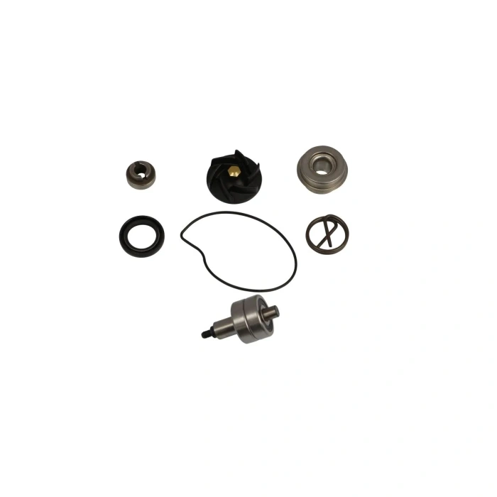 BBP Custom REPAIR KIT WATER PUMP GIL 09346223 jpg