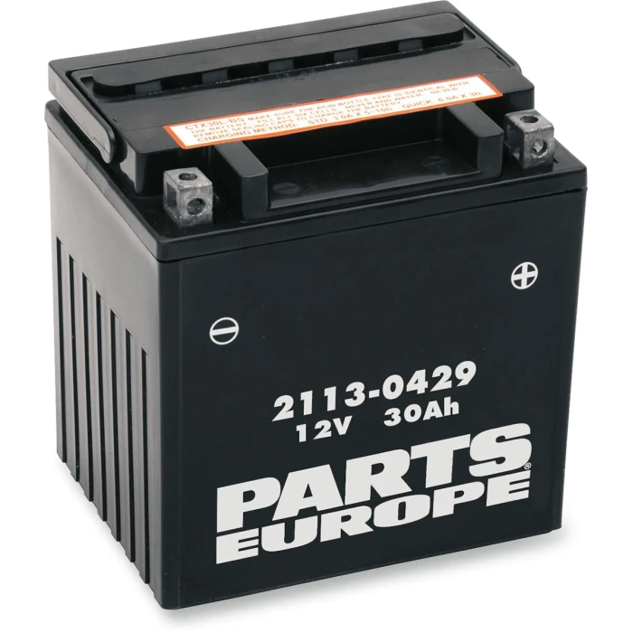 BBP Custom BATTERY AGM MAINTENANCE FREE 12V 30 AH 385A 10 KG 166.69 MM X 127 MM X 174.63 MM BLACK 21130429 jpg