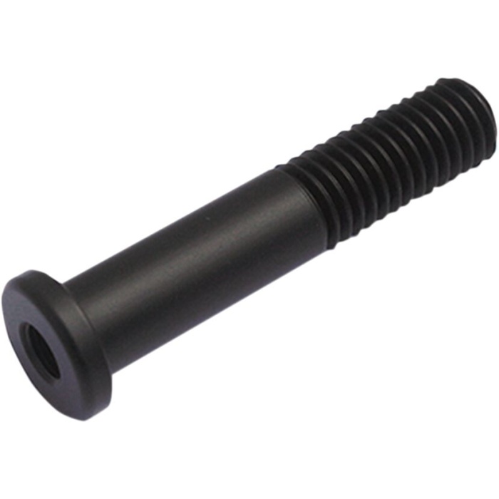 BBP Custom M8x40 mm screw 20402302 jpg